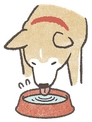 ShibaDrink emote for Discord