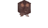 RatSpin emote for Discord