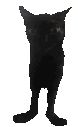 JinxBounce emote for Discord
