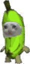 CatBananaParty emote for Discord