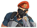 brimfacepalm_valorant emote for Discord
