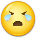 eCry emote for Discord
