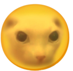 Sun_O_Bingus emote for Discord