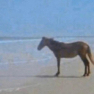 horsemen emote for Discord