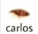 carlos static emote