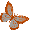 DarkOrangeButterfly emote for Discord