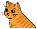 Tabby emote for Discord
