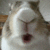 bunny_chew emote for Discord