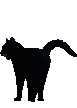 BlackCat1 emote for Discord