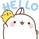 MolangHello emote for Discord
