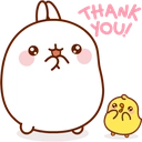MolangThankYou emote for Discord