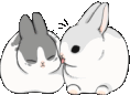 BunnyKiss emote for Discord