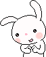 BunnyShy emote for Discord