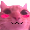 FushedCat emote for Discord