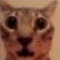 gato emote for Discord