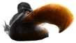 UltraRealisticMightyEagle emote for Discord