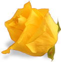 flower_yellow_rose emote for Discord