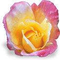 flower_rose emote for Discord