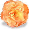 flower_orange_rose emote for Discord