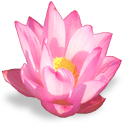 flower_lotus emote for Discord