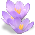 flower_lilac emote for Discord