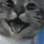 happycat emote for Discord