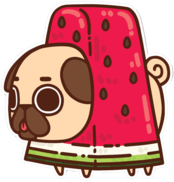 cutedog emote for Discord