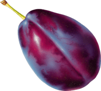 plum emote for Discord