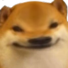 doge_5head emote for Discord