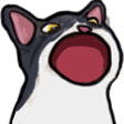TuxedoPopCat emote for Discord