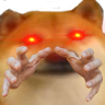 doge_hands emote for Discord