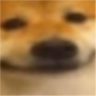 doge_near emote for Discord