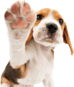 waves emote for Discord