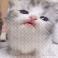 formygirlfriend4 emote for Discord