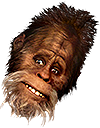 Harry emote for Discord