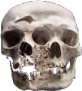 skull_merged2 emote for Discord