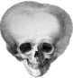 skull_5head emote for Discord