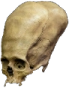 skull_longhead emote for Discord