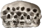 skull_family emote for Discord