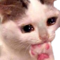 175_CatCryBite emote for Discord