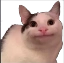 awkward static emote