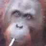 MonkeSmoke emote for Discord