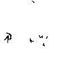 DungeonsAndDragonsBlack emote for Discord