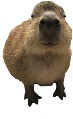 Gort emote for Discord