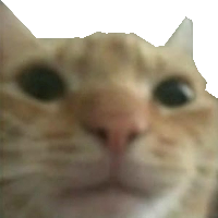 gusictransparent emote for Discord