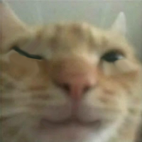 gusicwink emote for Discord