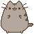 PusheenBounce emote for Discord