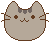 PusheenHead emote for Discord