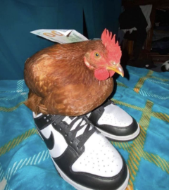 gallo emote for Discord