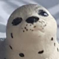 JudgeSeal emote for Discord